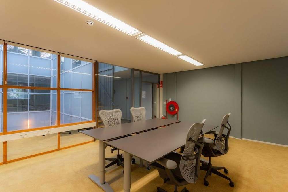 Crear una empresa en Países Bajos: lo que debes saber sobre el coworking | YOUNG Workspaces
